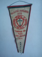 /album/sao-paulo-portuguesa1/associacao-portuguesa-de-desportos-sao-paulo-27-jpg/